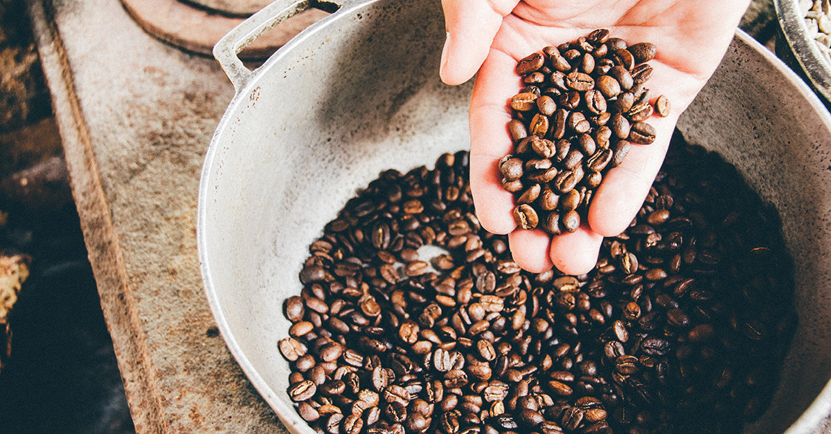 Steve's Coffee Club